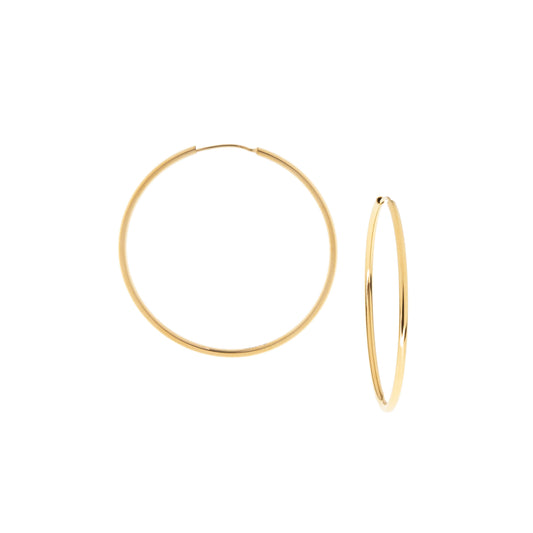 2" stainless steel hoop
