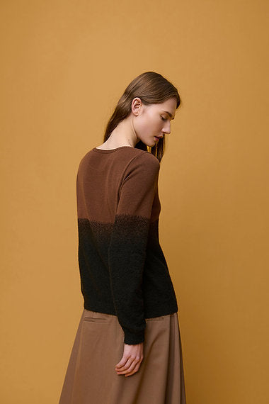 Aldo Martins  with Ombre Effect Sweater